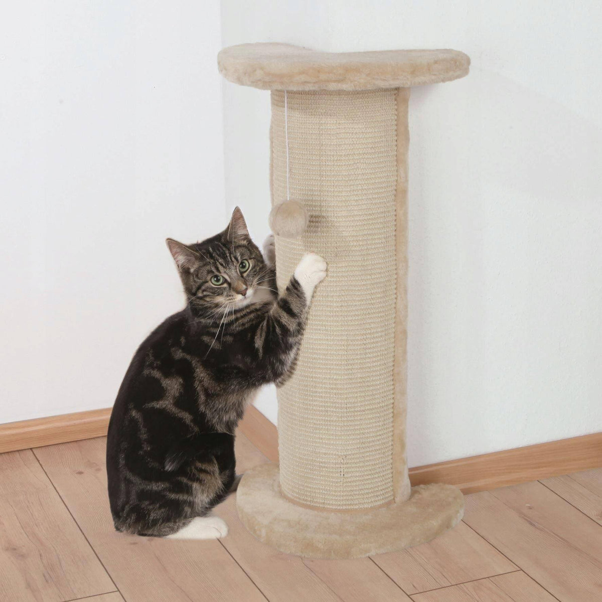 Beige Natural 75 cm Scratching Column H105