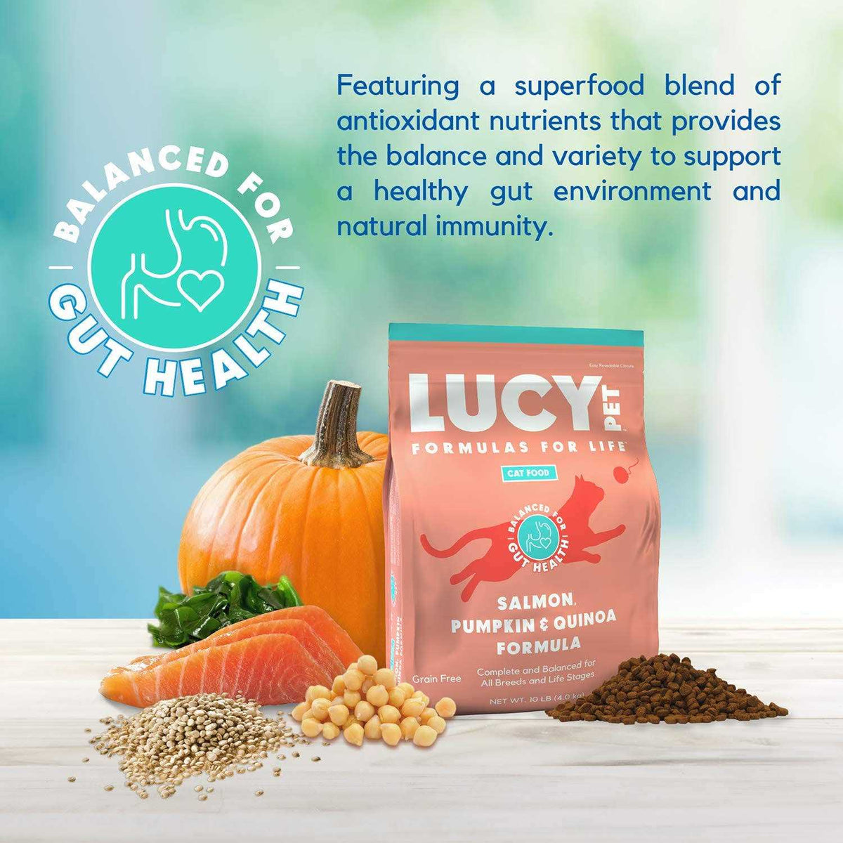 Dry Cat Food Salmon I1571