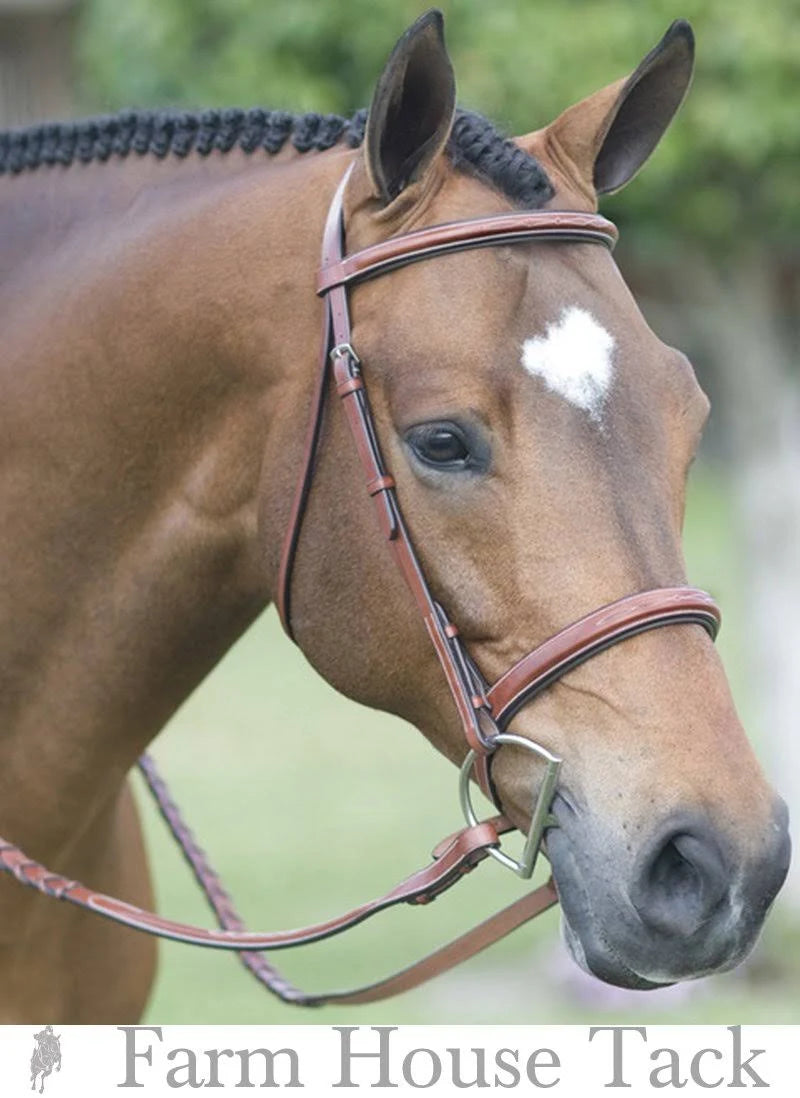 Fancy Wide Show Bridle with Raised Laced Reins J38149