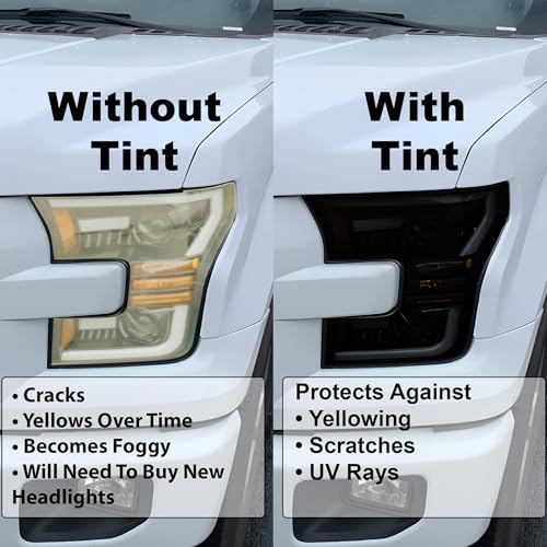 Dark Smoke Tail Light Tint Kit Film J2410