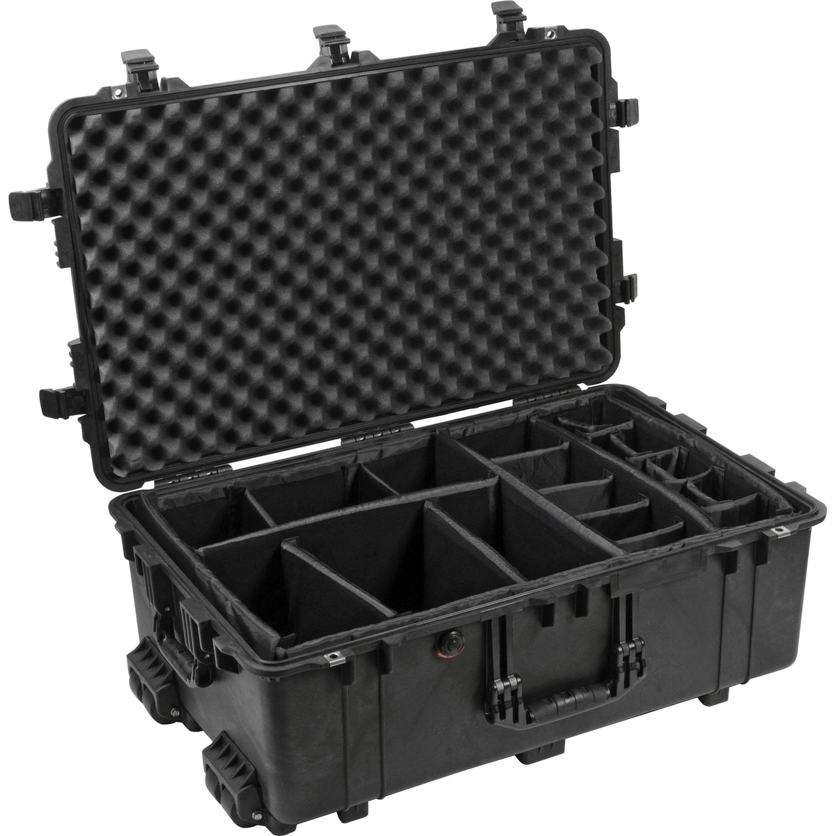 Black Case with Padded Dividers F2505