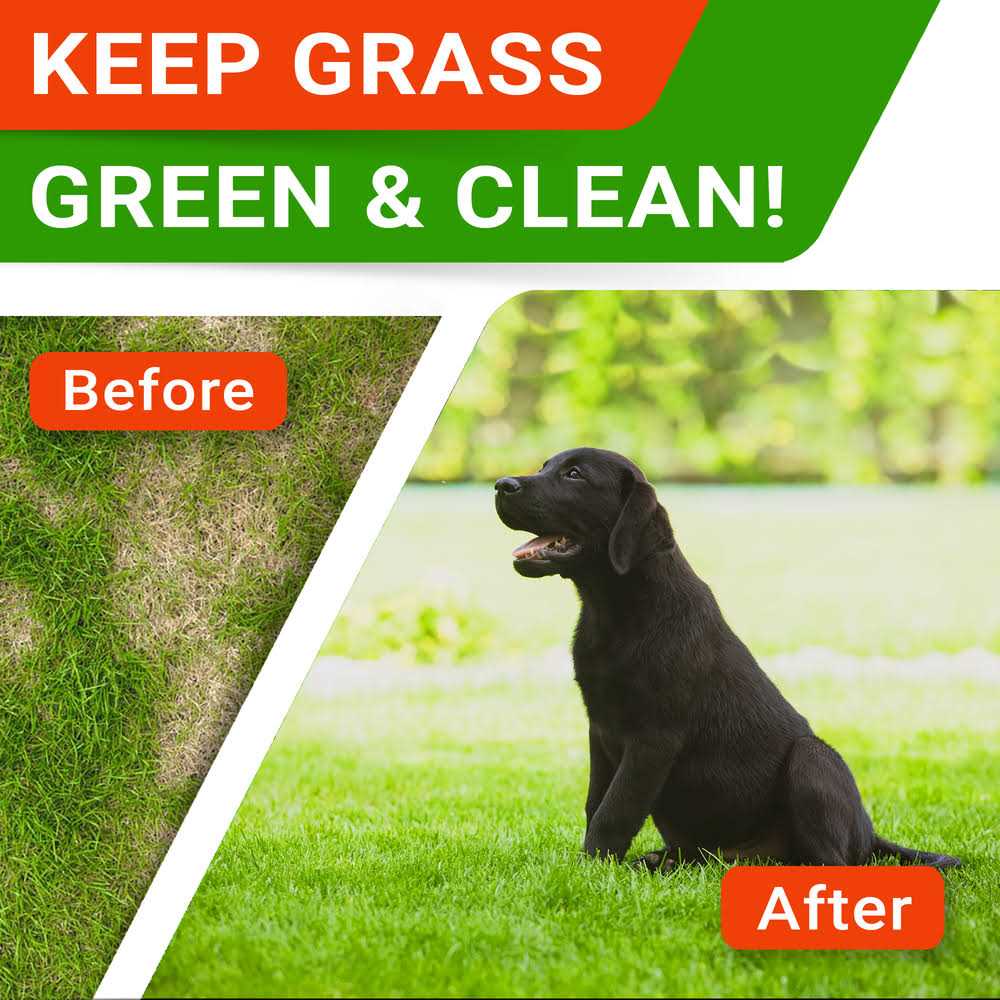 Grass Burn Spot Chews for Dogs A1417