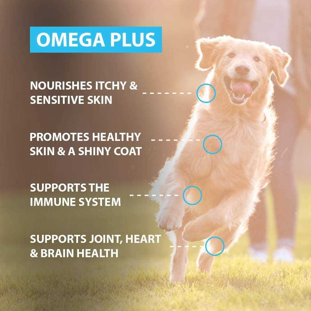 Fish Oil Supplement for Dogs T692752