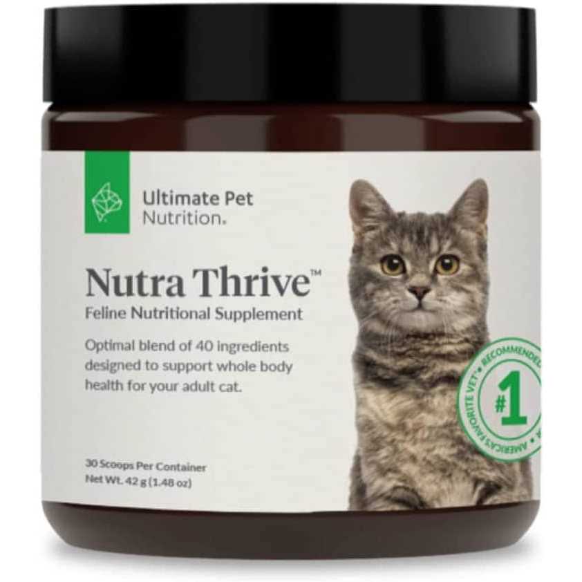 Multivitamin Powder Supplement for Dogs L273516