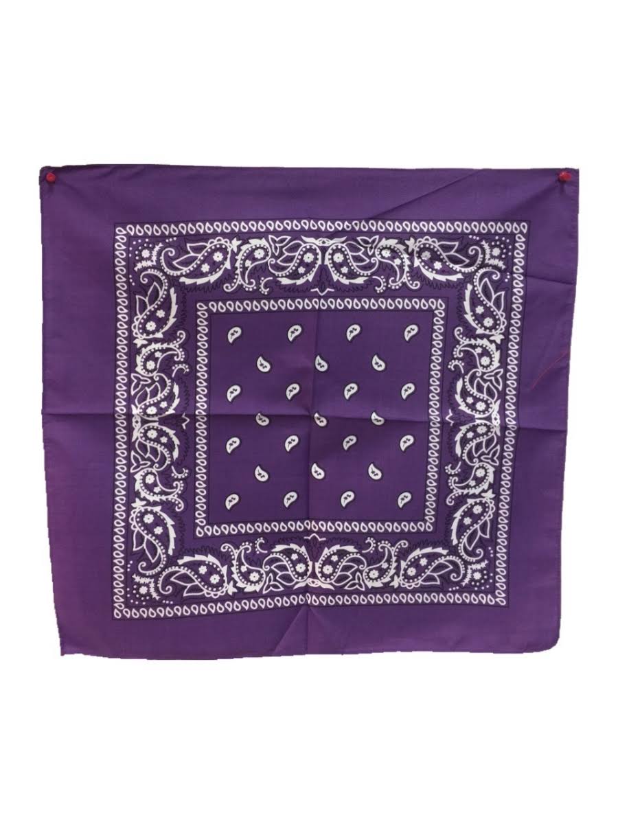 Purple Paisley Cotton Bandana - Case of 36 B736