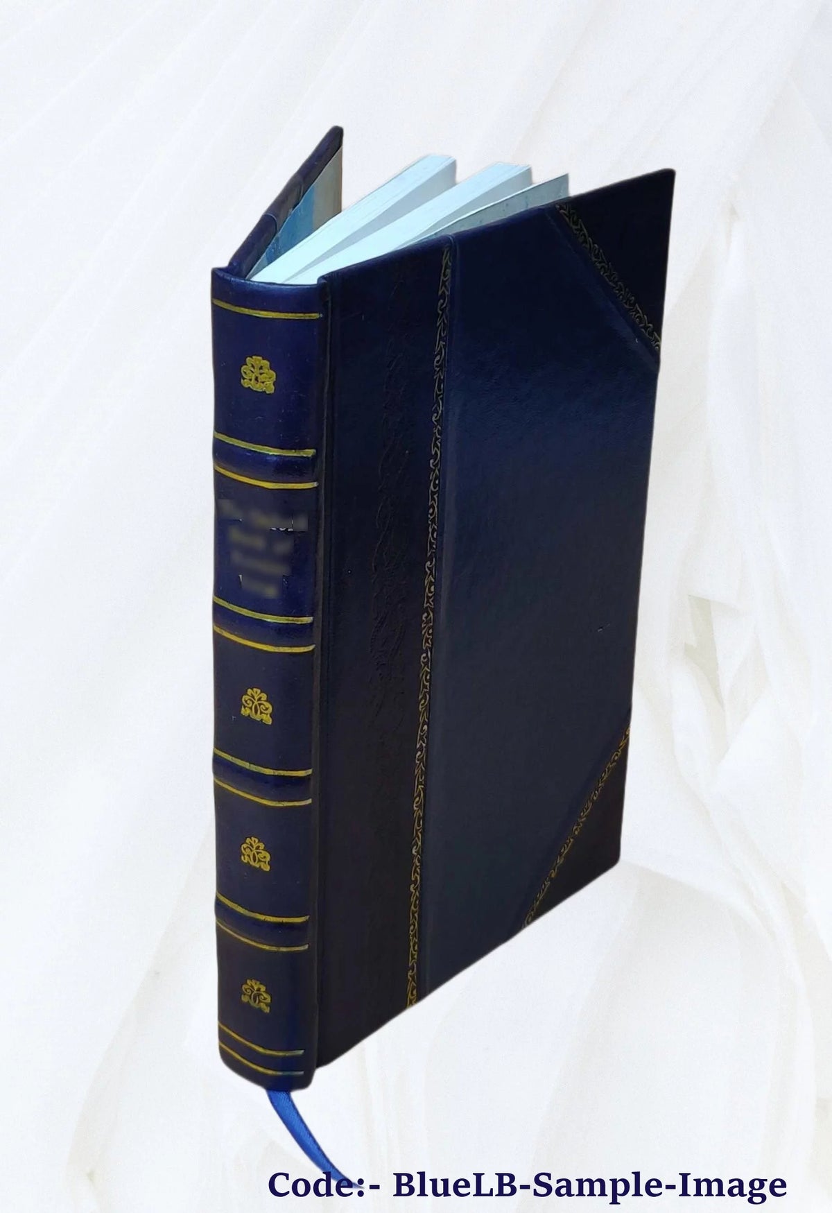British Popular Customs Present and Past Leather Bound M10114