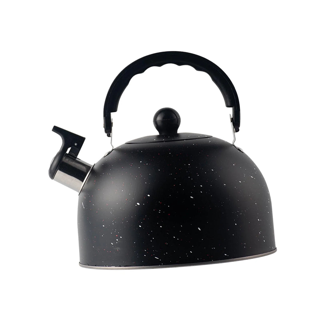 2.5L Stainless Steel Whistling Tea Kettle V5404
