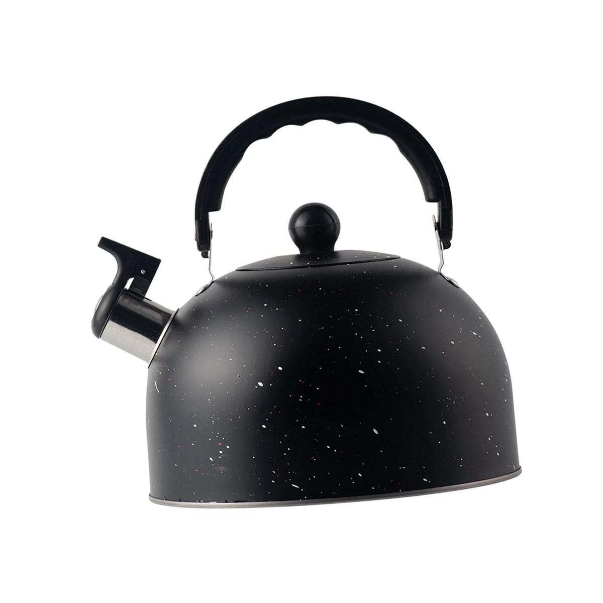 2.5L Stainless Steel Whistling Tea Kettle V5404