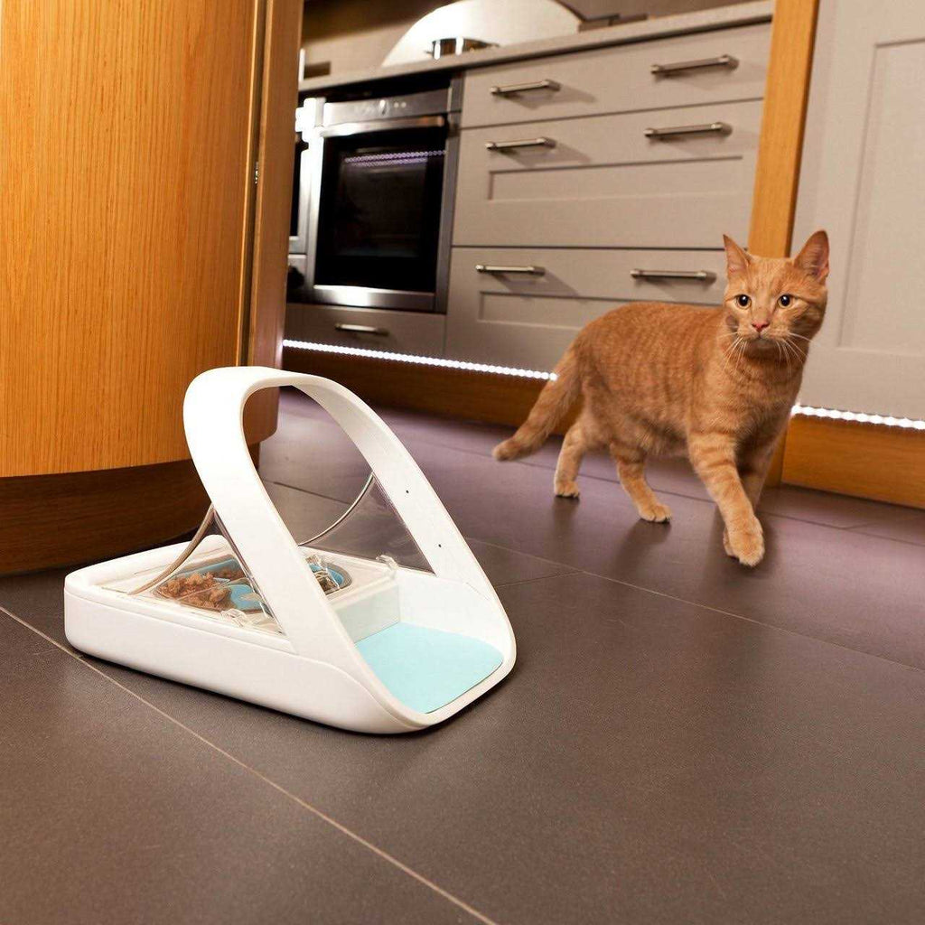 Microchip Pet Feeder H28757