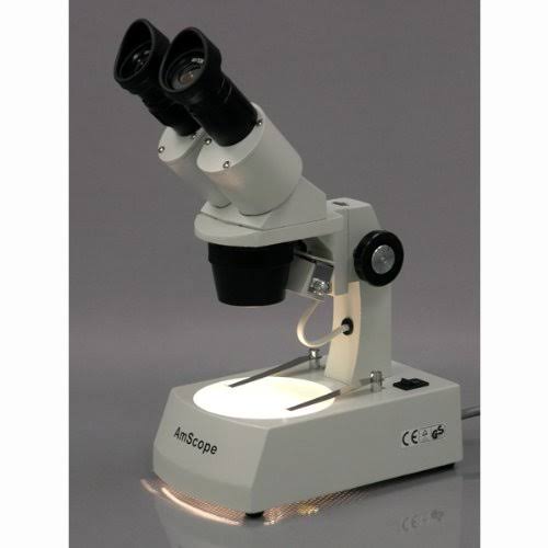 20X-40X Stereo Microscope with USB Camera I257854
