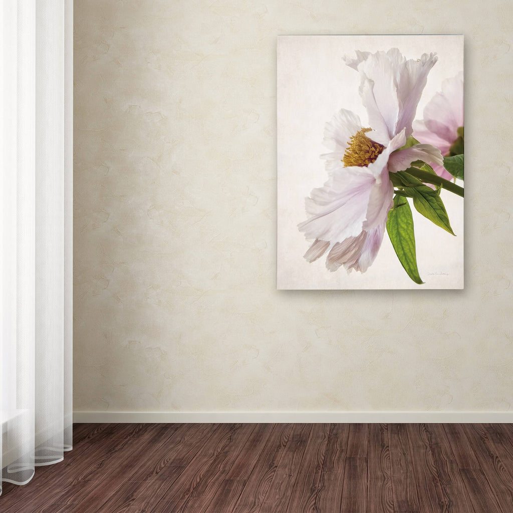Translucent Peony IV Canvas Art (14x19) K707039