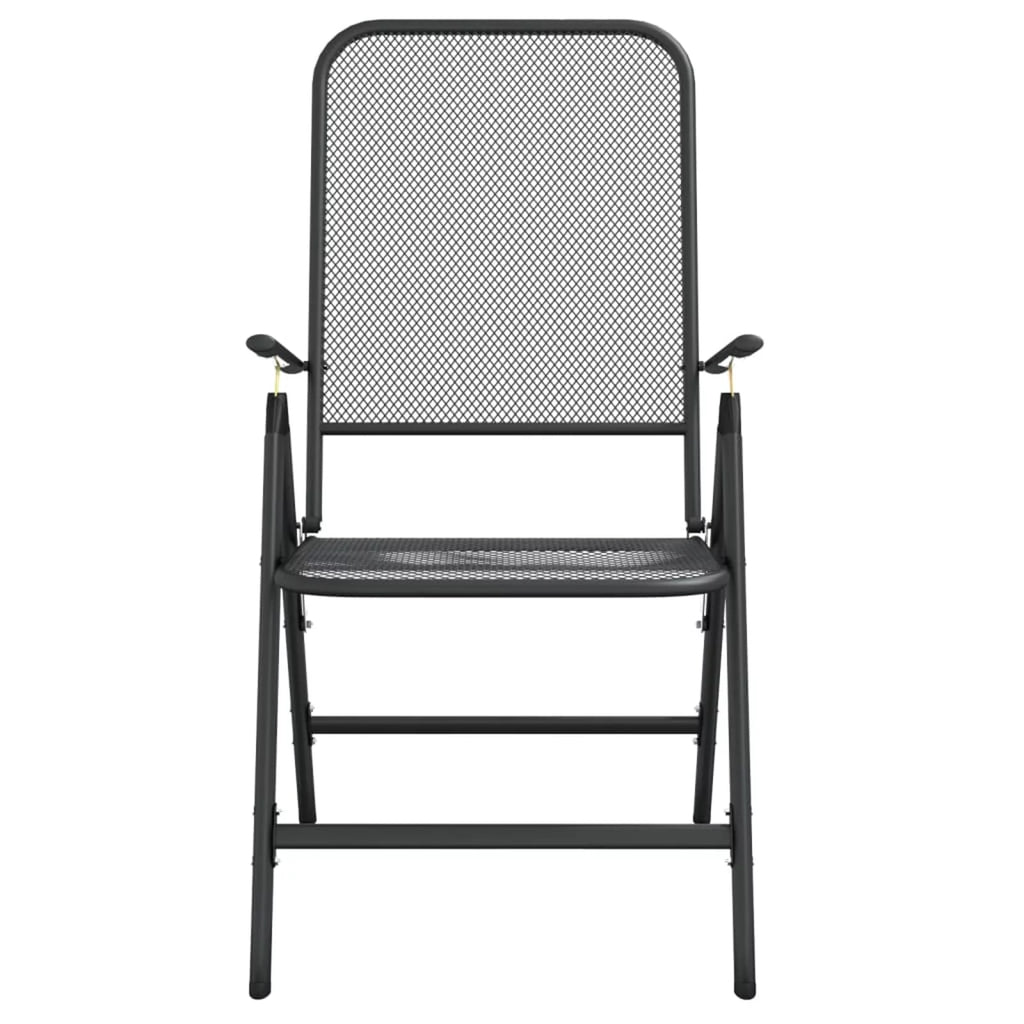 Folding Patio Chairs 2 pcs Metal Mesh Anthracite T16049