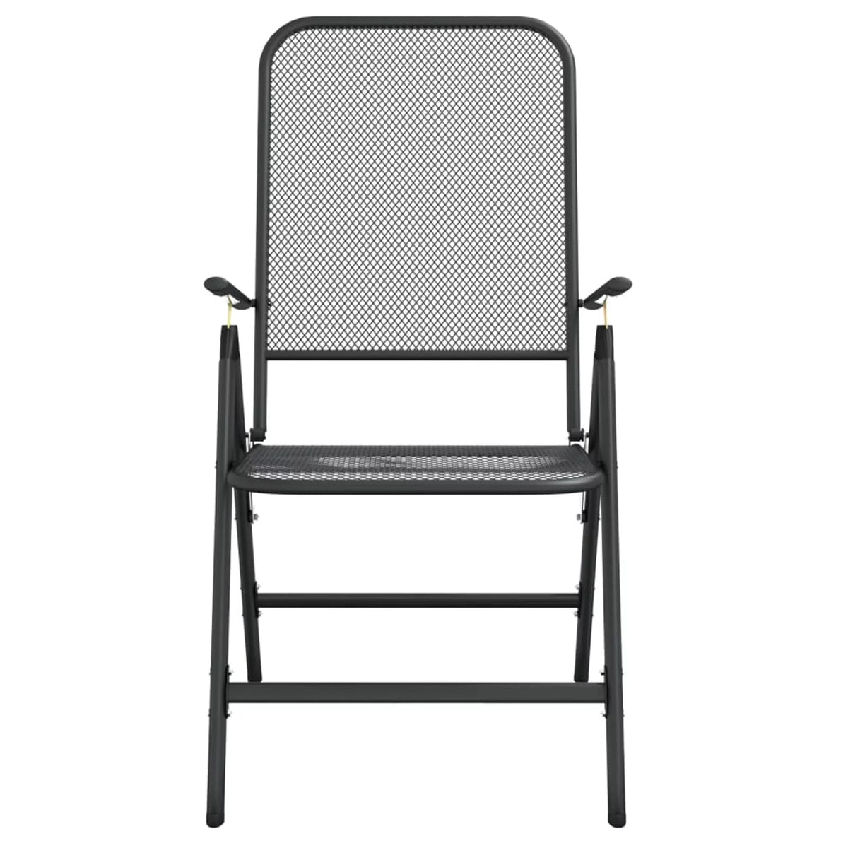 Folding Patio Chairs 2 pcs Metal Mesh Anthracite T16049