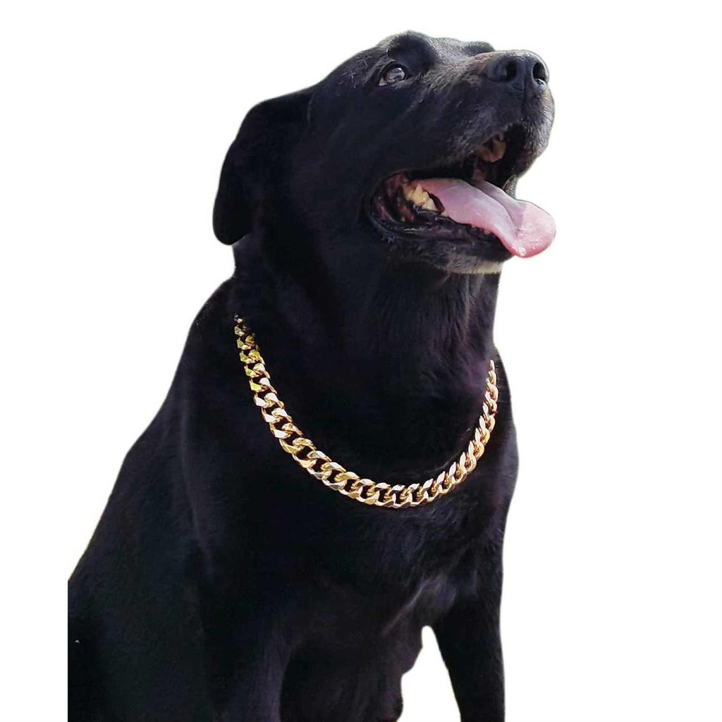 Gold Chain Cuban Link Dog Collar F968742