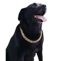 Gold Chain Cuban Link Dog Collar F968742