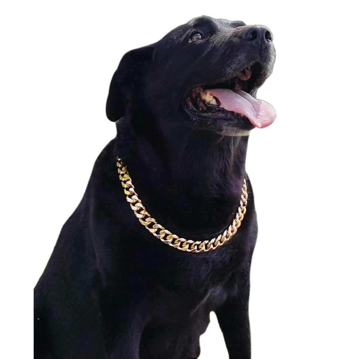 Gold Chain Cuban Link Dog Collar F968742