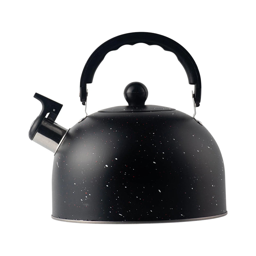 2.5L Stainless Steel Whistling Tea Kettle V5404