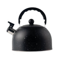 2.5L Stainless Steel Whistling Tea Kettle V5404
