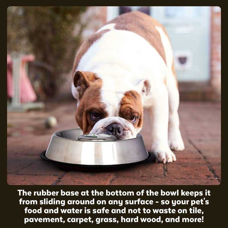 Stainless Steel Slow Feed Pet Bowl P5016