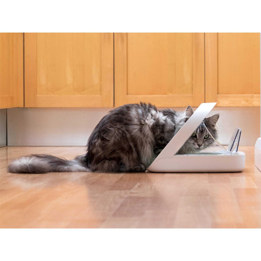 Microchip Pet Feeder H28757