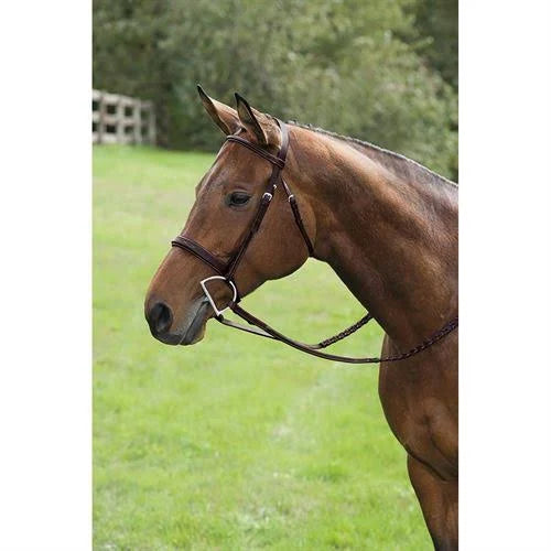 Fancy Wide Show Bridle with Raised Laced Reins J38149