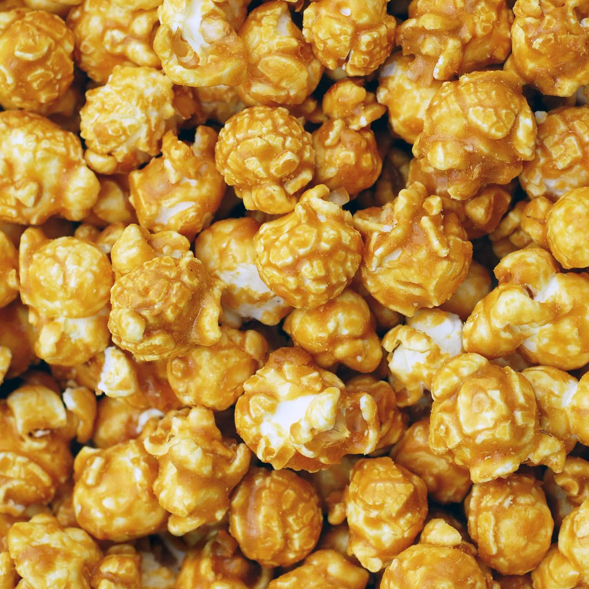 5 lbs Bulk Bag Gourmet Caramel Popcorn M699