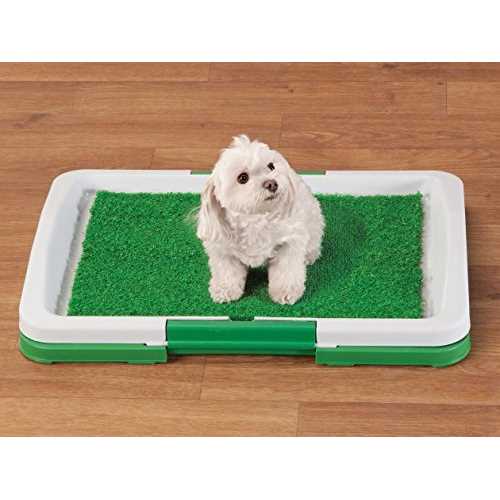 Potty Trainer A660431