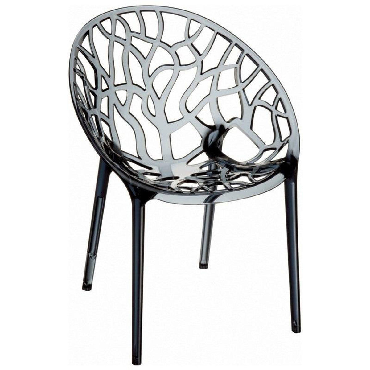 Transparent Smoke Gray Polycarbonate Dining Chair Z760