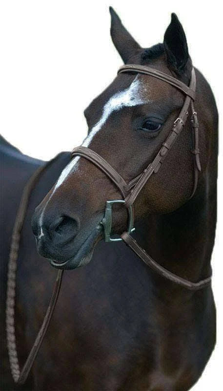 Fancy Wide Show Bridle with Raised Laced Reins J38149