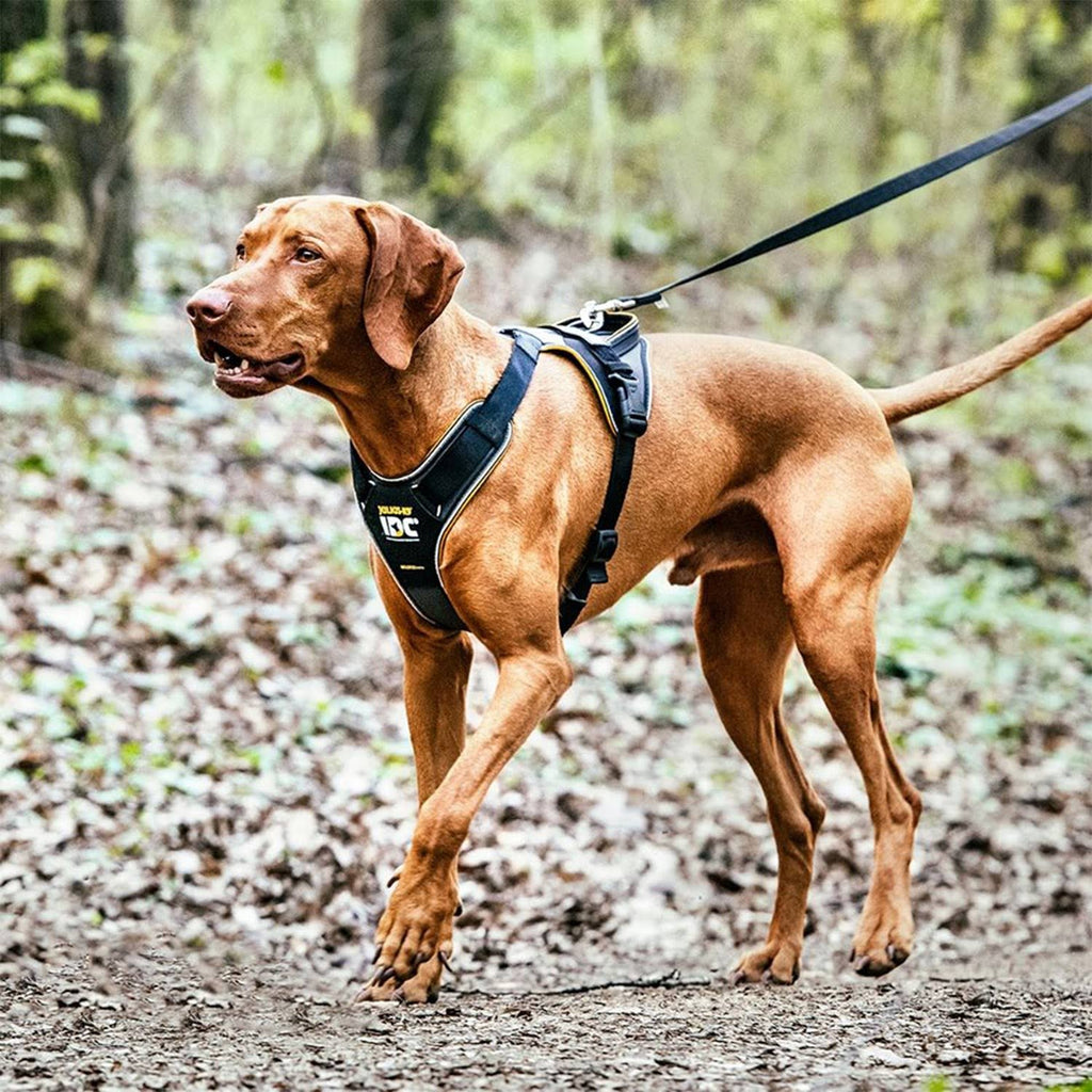 Reflective Dog Walking Harness, Size XL L7423