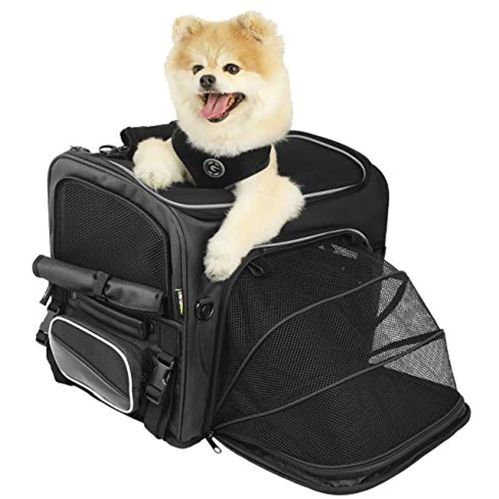Pet Carrier C491480