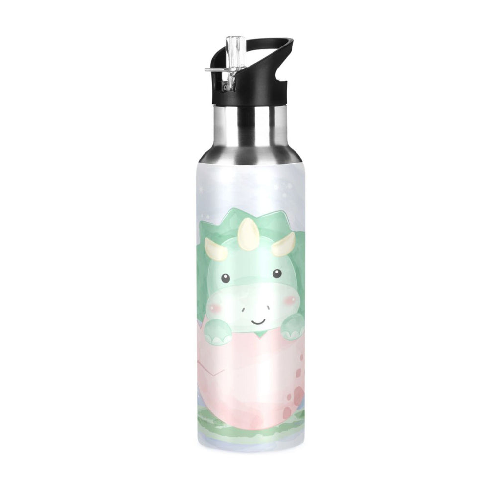 Stainless Steel Insulated Water Bottle with Straw Lid L689497