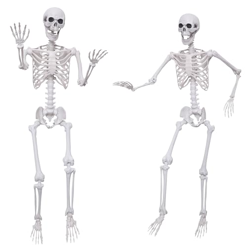 5.4Ft Posable Plastic Skeletons 2Pack H637