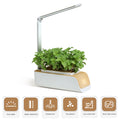 Indoor Herb Garden Kit with Grow Light S9424