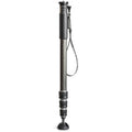 Carbon Fiber 4-Section Monopod D663078