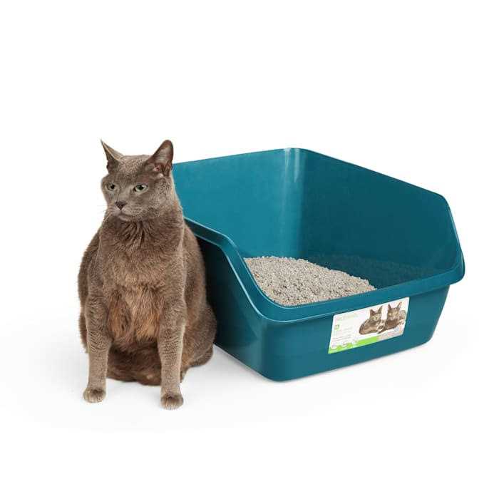 High-Back Litter Box G66631