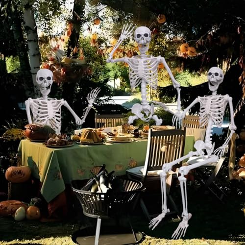 5.4Ft Posable Plastic Skeletons 2Pack H637