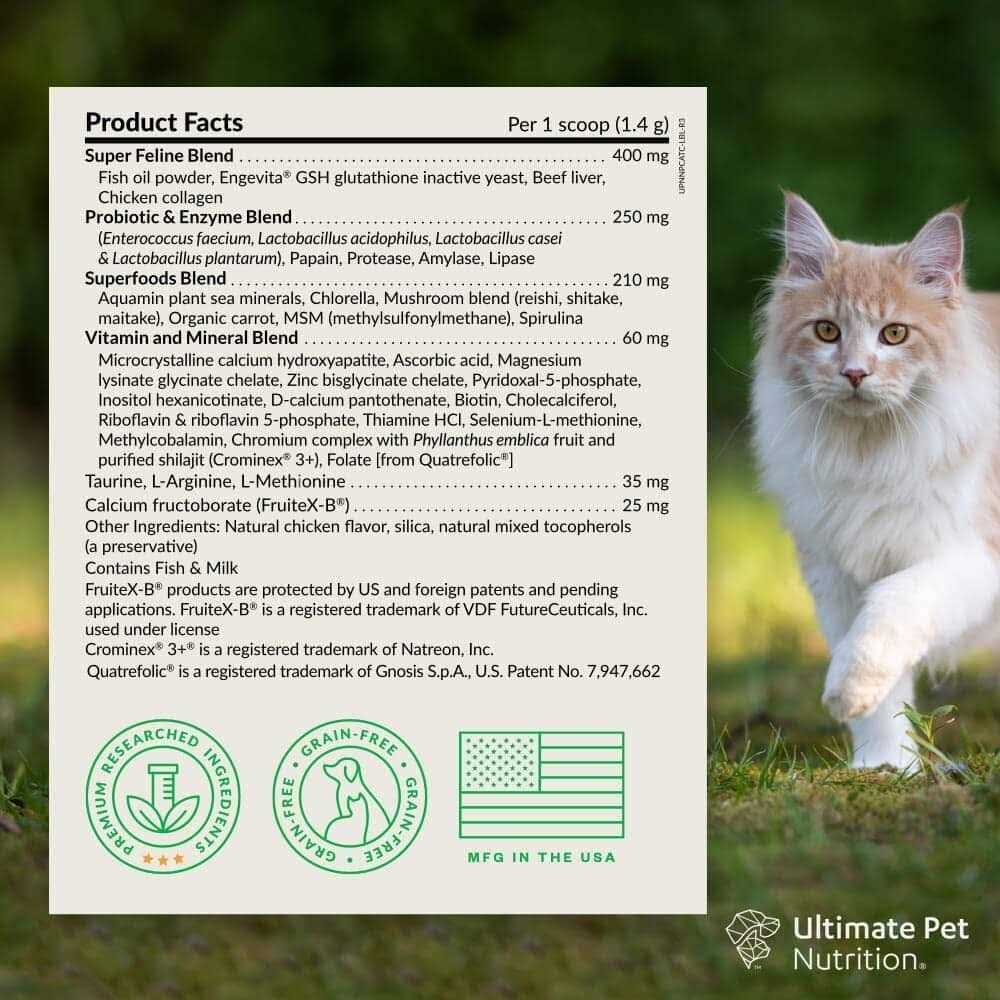 Multivitamin Powder Supplement for Dogs L273516