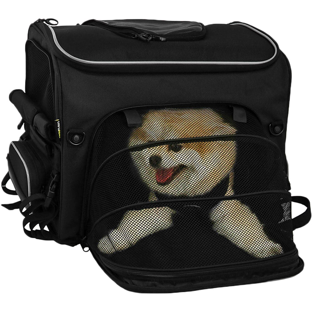 Pet Carrier C491480