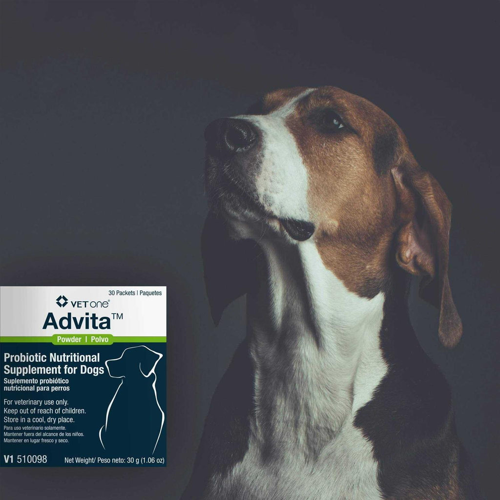 Probiotic Nutritional Supplement for Dogs U58238