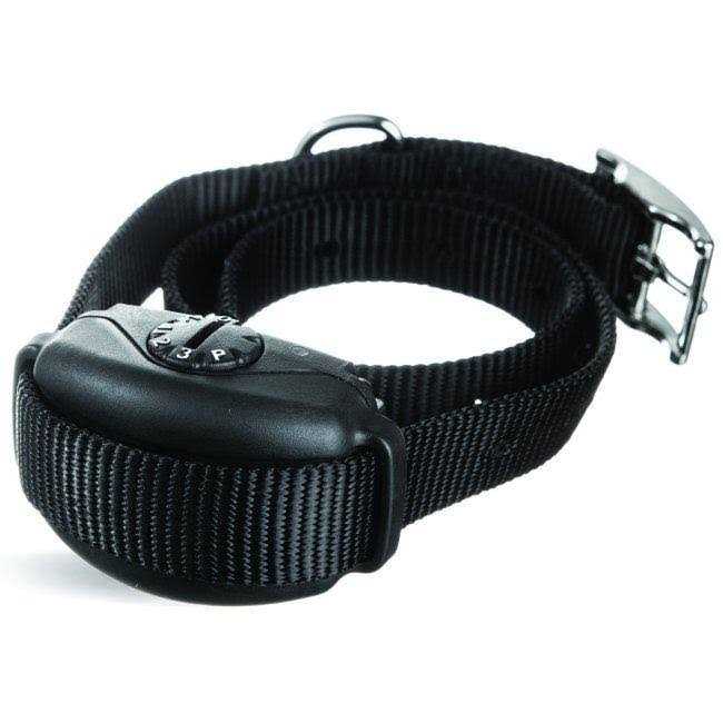Leash Training Collar W82517