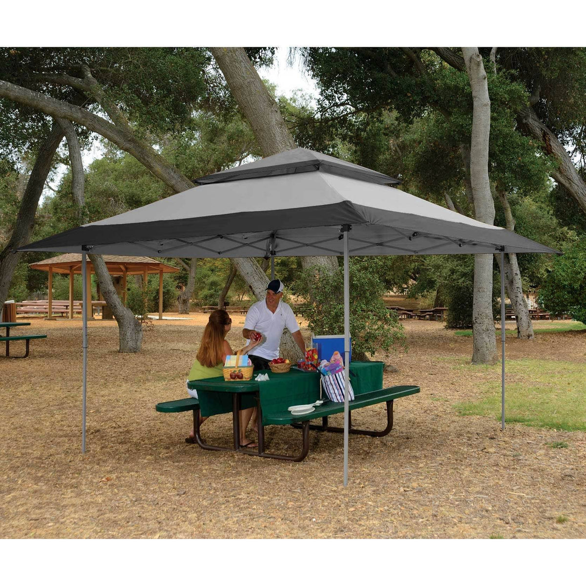 Gray Instant Gazebo Canopy with Bug Screen N3071