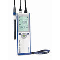 Handheld pH/mV Meter C597