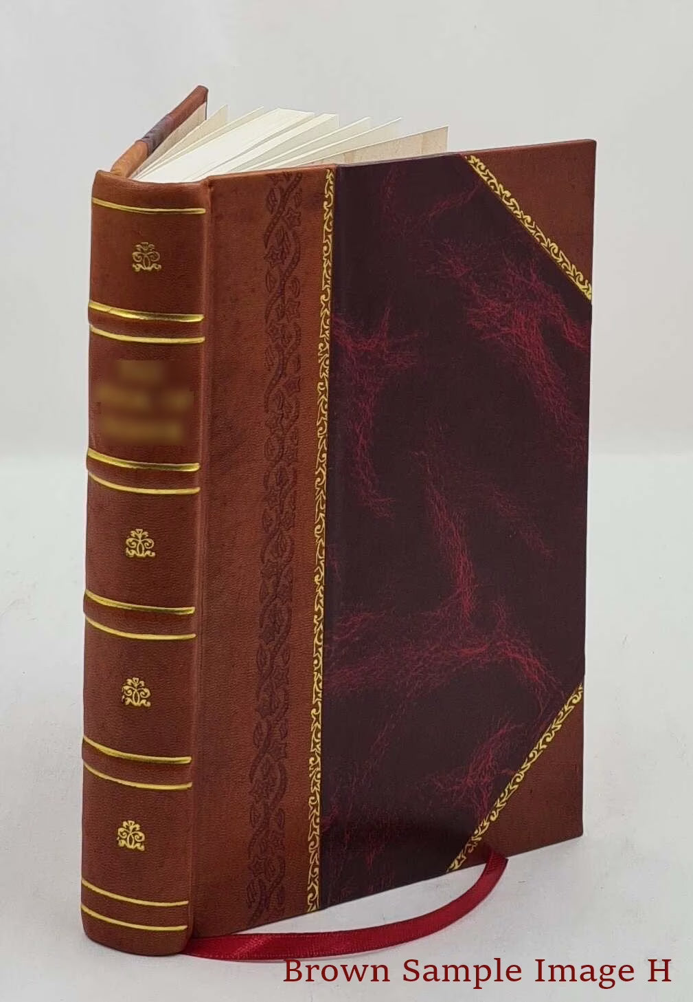Leather Bound Measures And Integrals R232