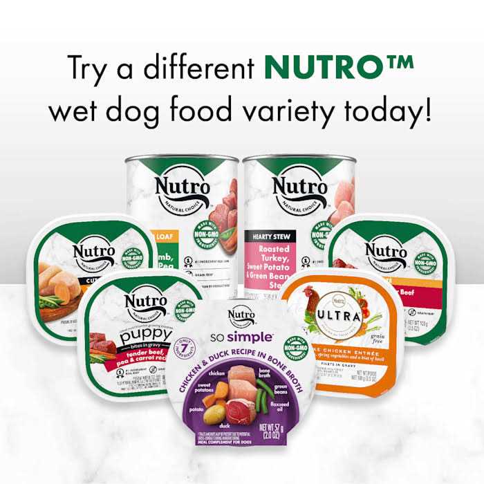 Chicken & Duck Recipe Wet Dog Food in Bone Broth N796295