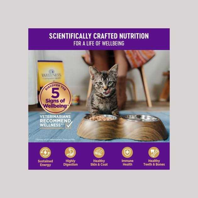 Grain Free Wet Cat Food X5756