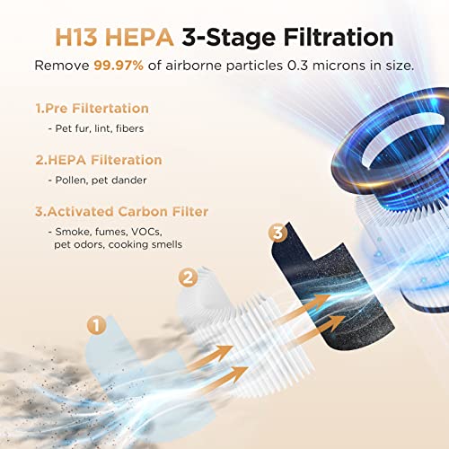 H13 True HEPA Air Purifier for Large Rooms up to 1200ft² F32350