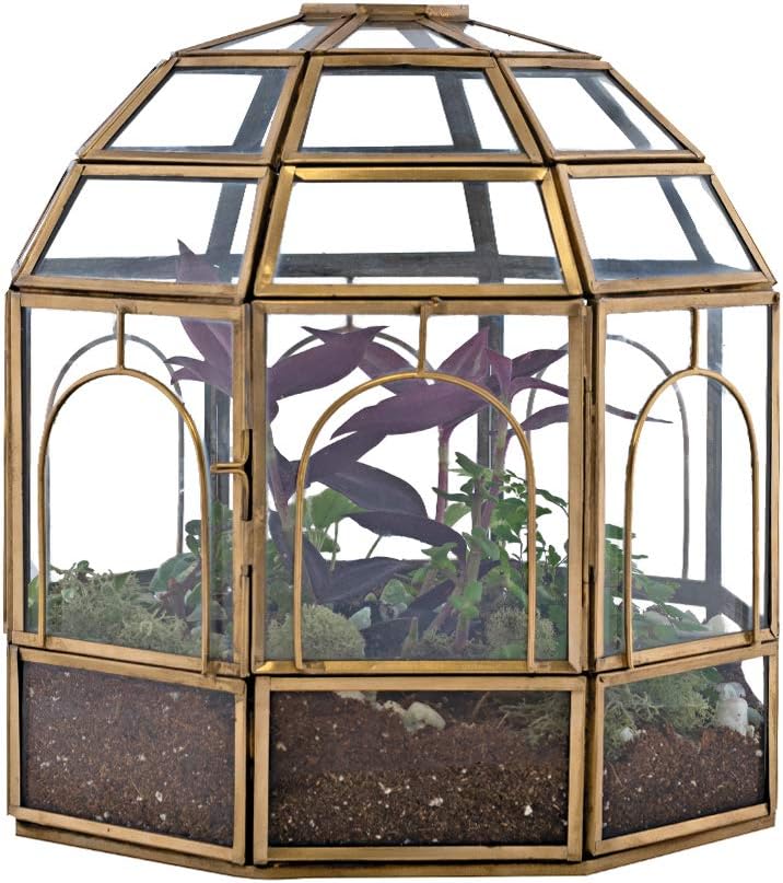 Large Glass Terrarium M240181