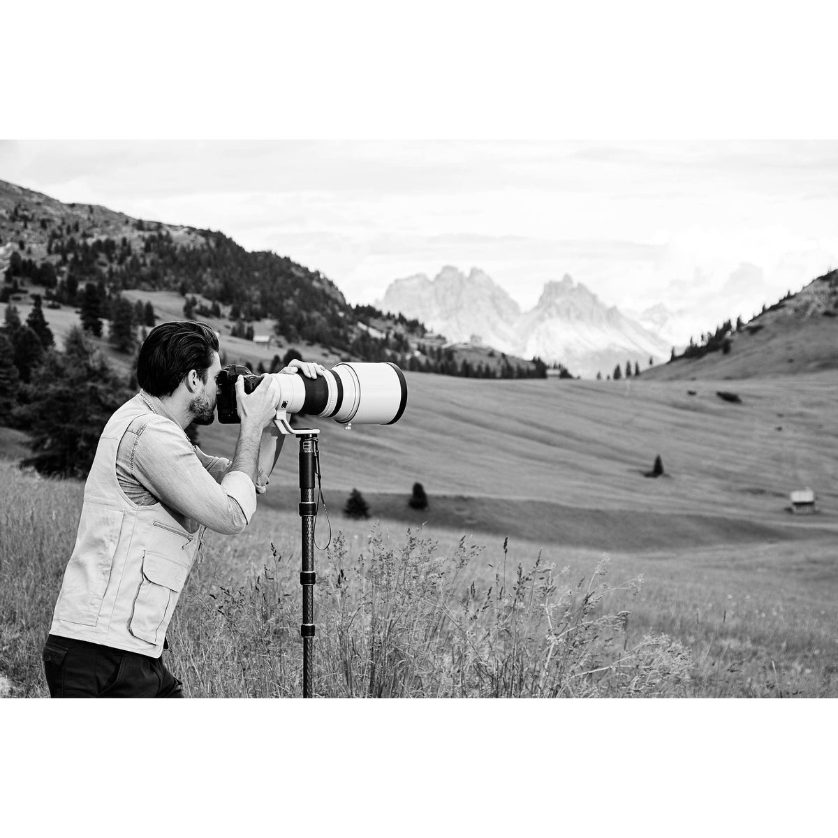 Carbon Fiber 4-Section Monopod D663078