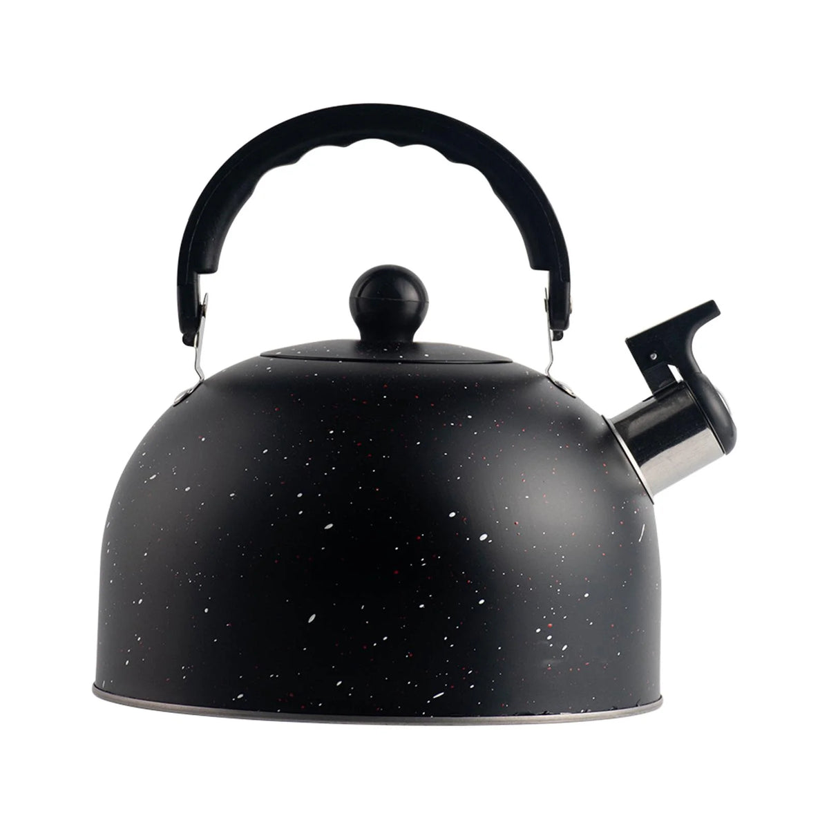 2.5L Stainless Steel Whistling Tea Kettle V5404